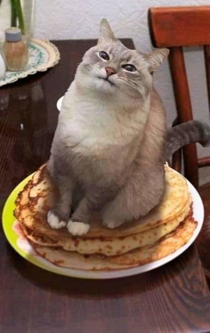 cUiMCPKTcAA.jpg